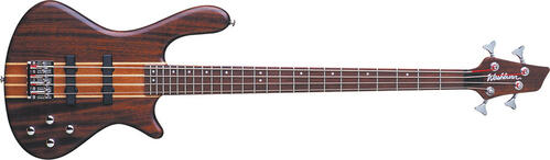 Washburn T24