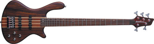 Washburn T25