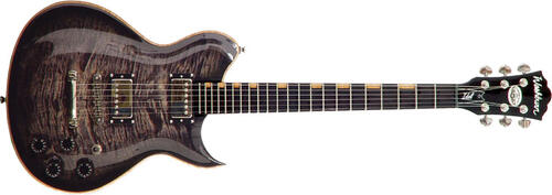 Washburn WI68