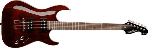 Washburn X30