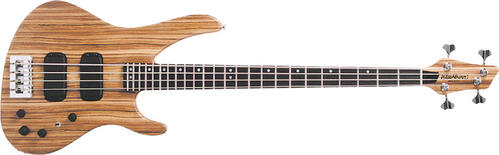 Washburn XB920
