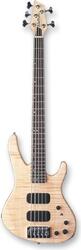 Washburn XB925