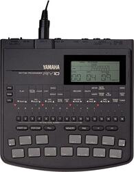 Yamaha RY10