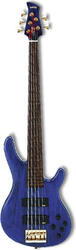 Yamaha TRB5FII
