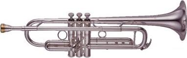 Yamaha YTR-8335RGS