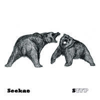 Seekae - The Sound of Trees Falling on People