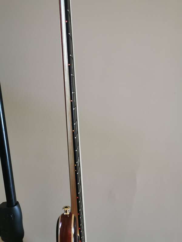Basse Alembic 5C deluxe Marc King cocobolo