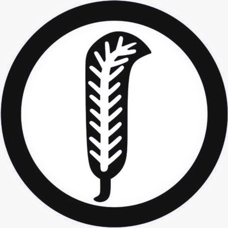 Auteur-compositeur / producer