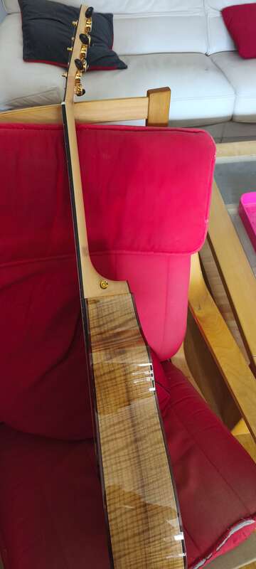 Breedlove north west classic ltd