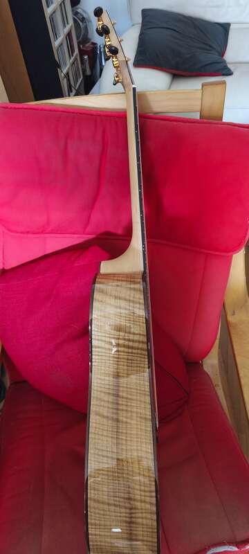Breedlove north west classic ltd