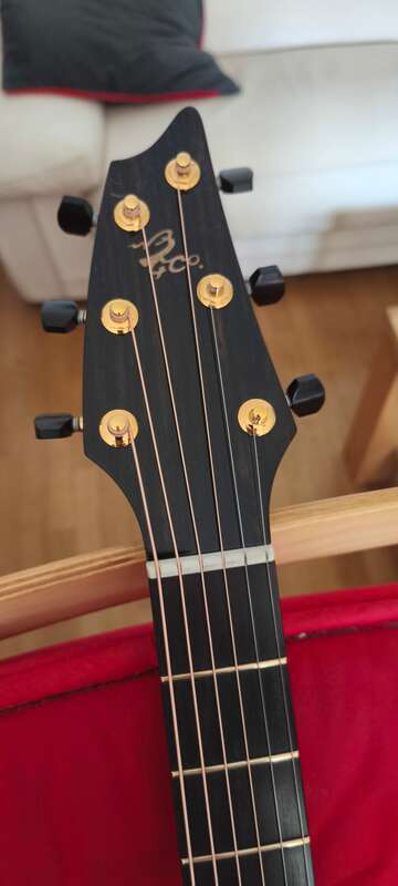 Breedlove north west classic ltd