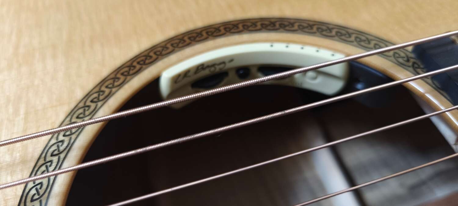 Breedlove north west classic ltd