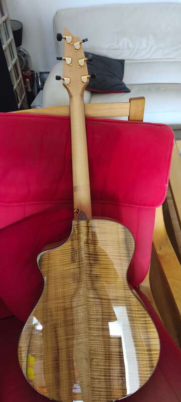 Breedlove north west classic ltd