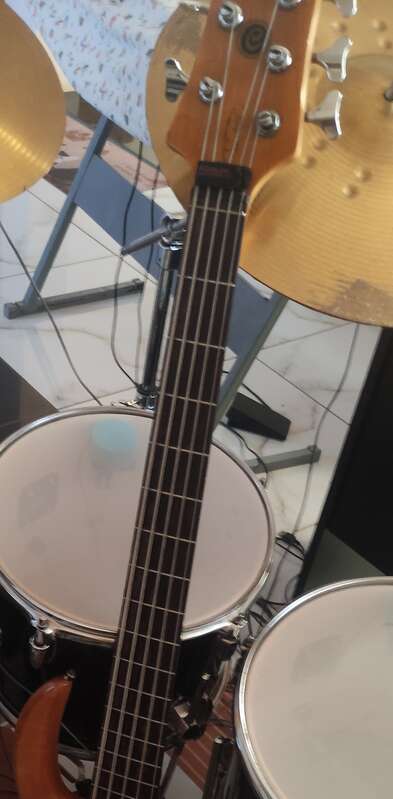 Cort Elrick JP5 (signature Josh Paul)