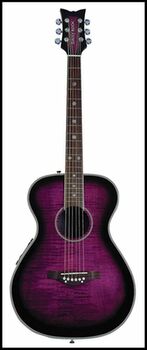 Daisy Rock Guitare Acoustic-Electric