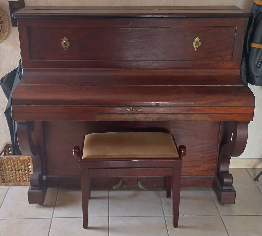 &Agrave; saisir ! Donne Pleyel du XIX&egrave;me si&egrave;cle