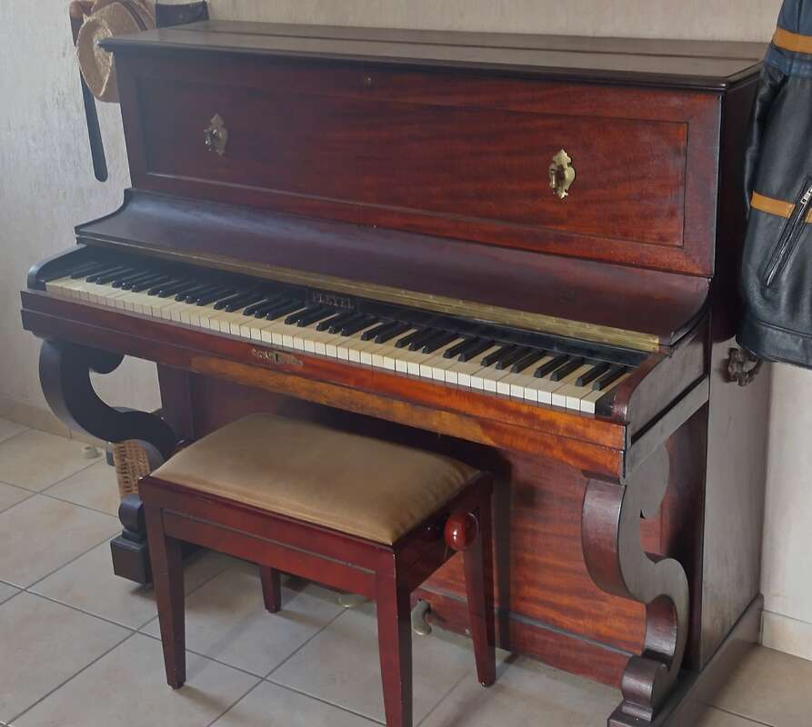 &Agrave; saisir ! Donne Pleyel du XIX&egrave;me si&egrave;cle