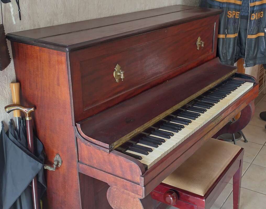 &Agrave; saisir ! Donne Pleyel du XIX&egrave;me si&egrave;cle