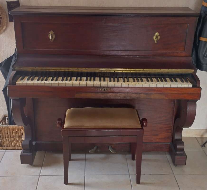 &Agrave; saisir ! Donne Pleyel du XIX&egrave;me si&egrave;cle