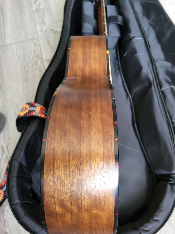 Eastman ACTG-2E