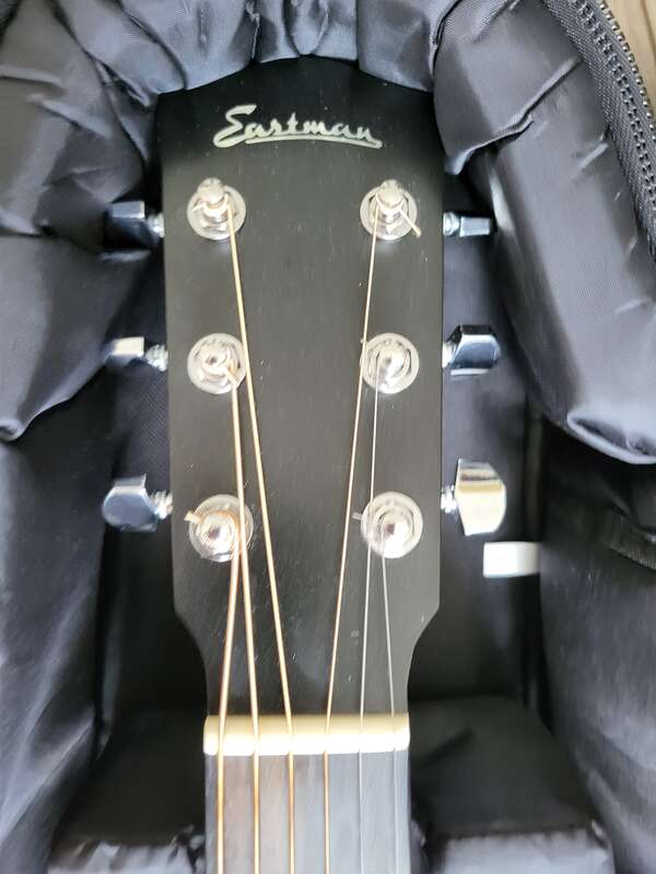 Eastman ACTG-2E