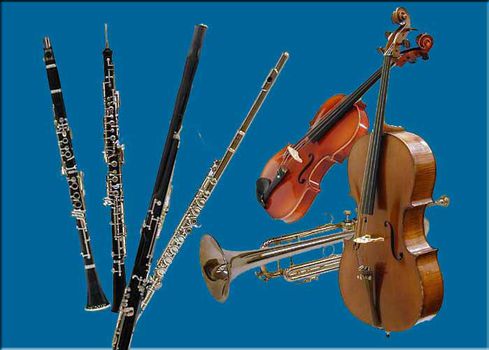 Ecole de musique à toulon quatuors a cordes-trios