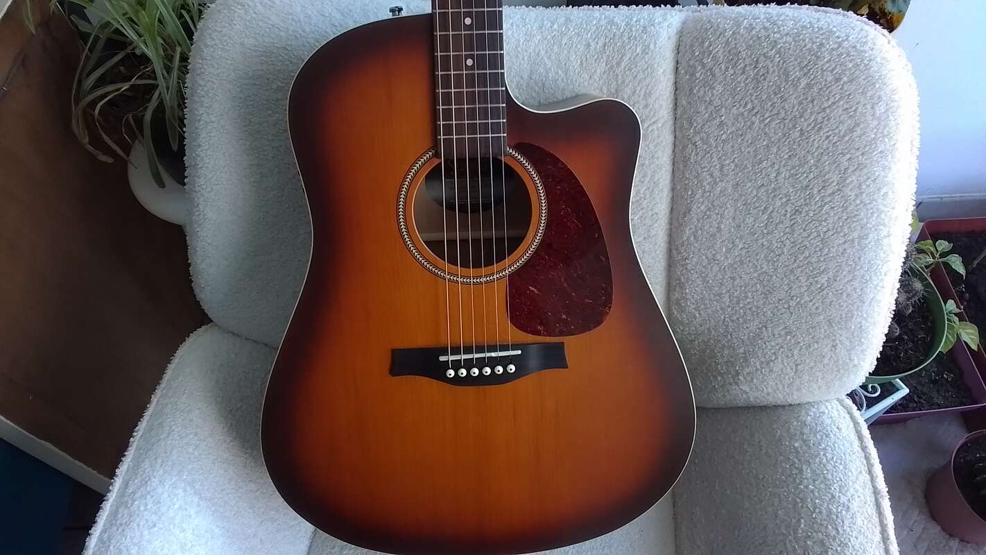 Electro seagull entourage rustic