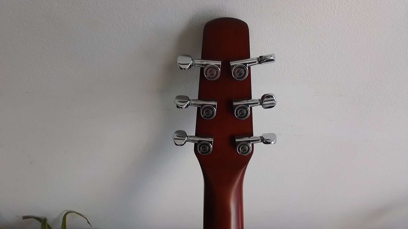 Electro seagull entourage rustic