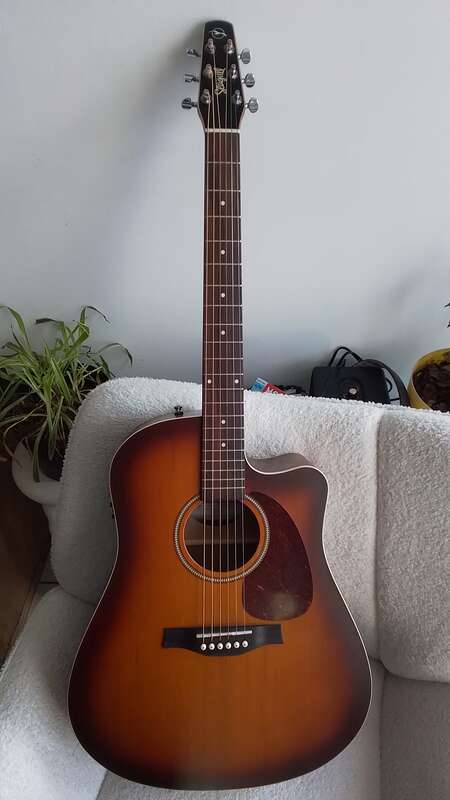 Electro seagull entourage rustic