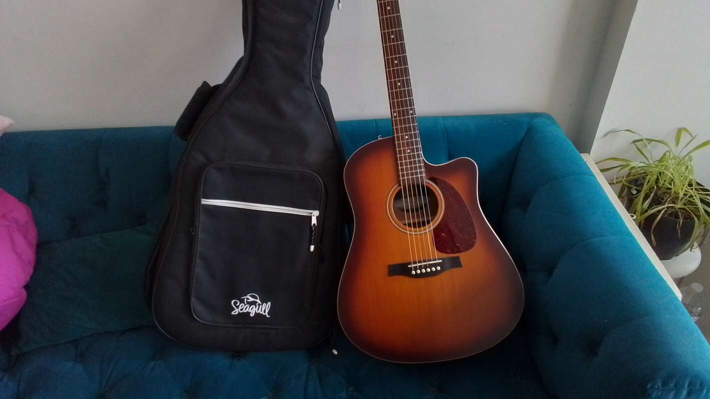 Electro seagull entourage rustic
