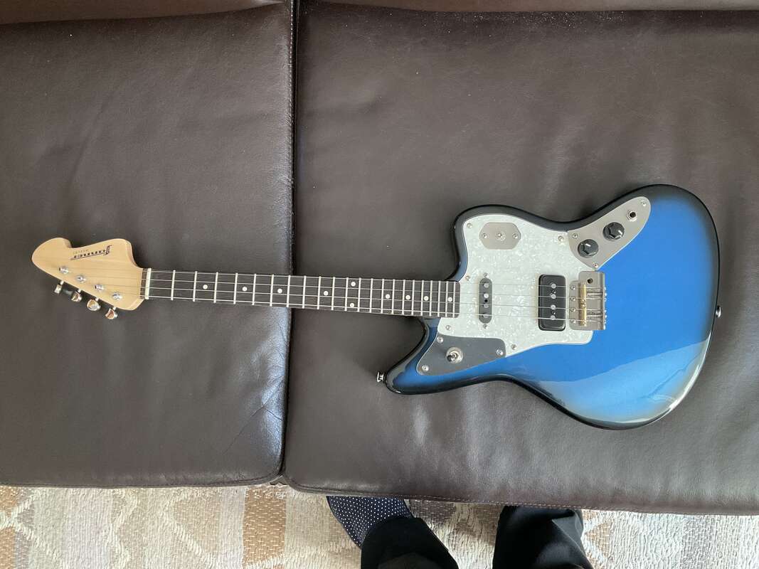 Fanner Ocelot baryton &eacute;lectrique custom shop neuf