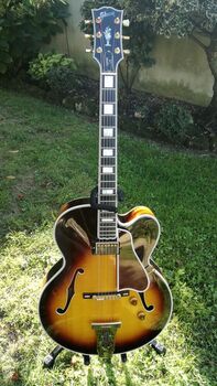 Guitares Gibson archtop vintage (Collection)