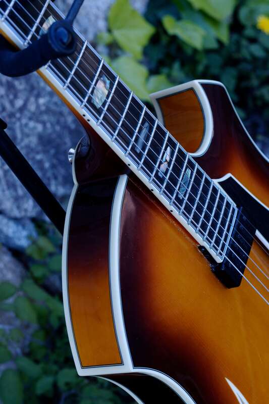 Parker archtop jazz PJ-24
