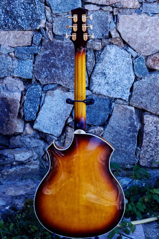 Parker archtop jazz PJ-24