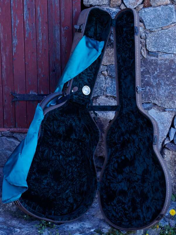 Parker archtop jazz PJ-24