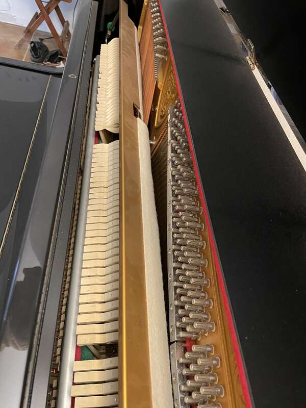 Piano droit Seiler Primus 122 noir vernis - neuf