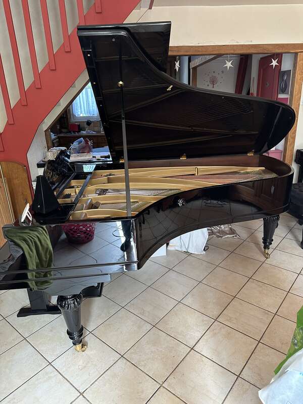 Pleyel n⁰2 (1905)
