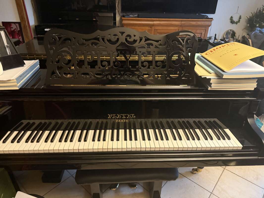 Pleyel n⁰2 (1905)