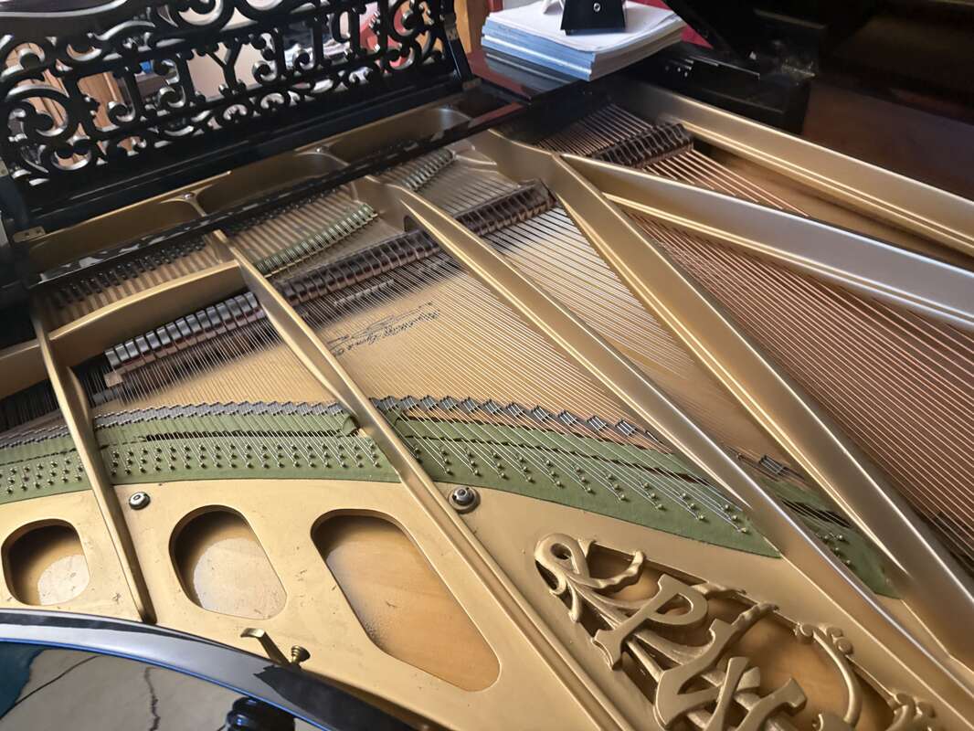 Pleyel n⁰2 (1905)
