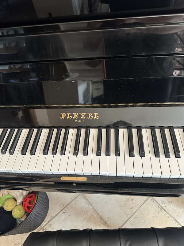 Pleyel P131 (2000)