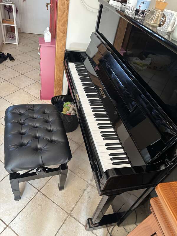 Pleyel P131 (2000)