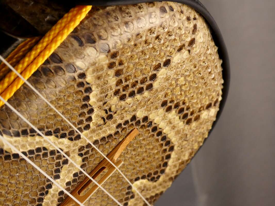 SANSHIN Traditional Okinawa 3 cordes -serpent- Japon