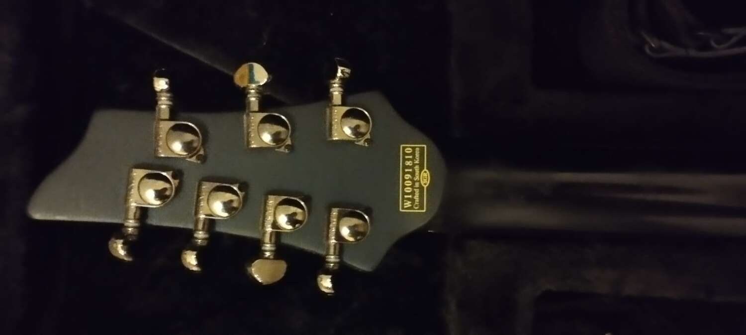 Schecter Loomis