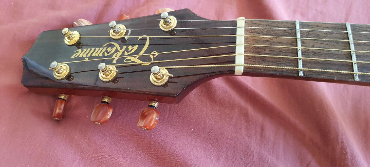 Guitare TAKAMINE SANTA FE TSF40C