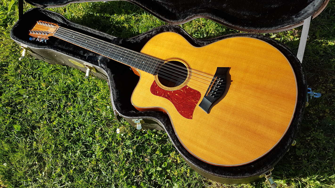Taylor 555-CE 12 cordes gaucher left lefty