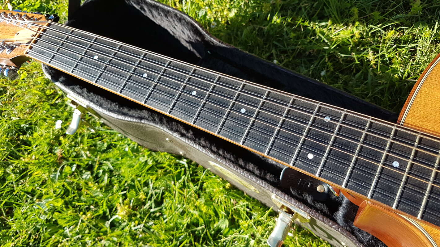 Taylor 555-CE 12 cordes gaucher left lefty