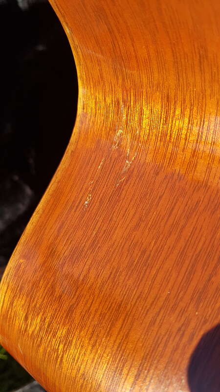 Taylor 555-CE 12 cordes gaucher left lefty