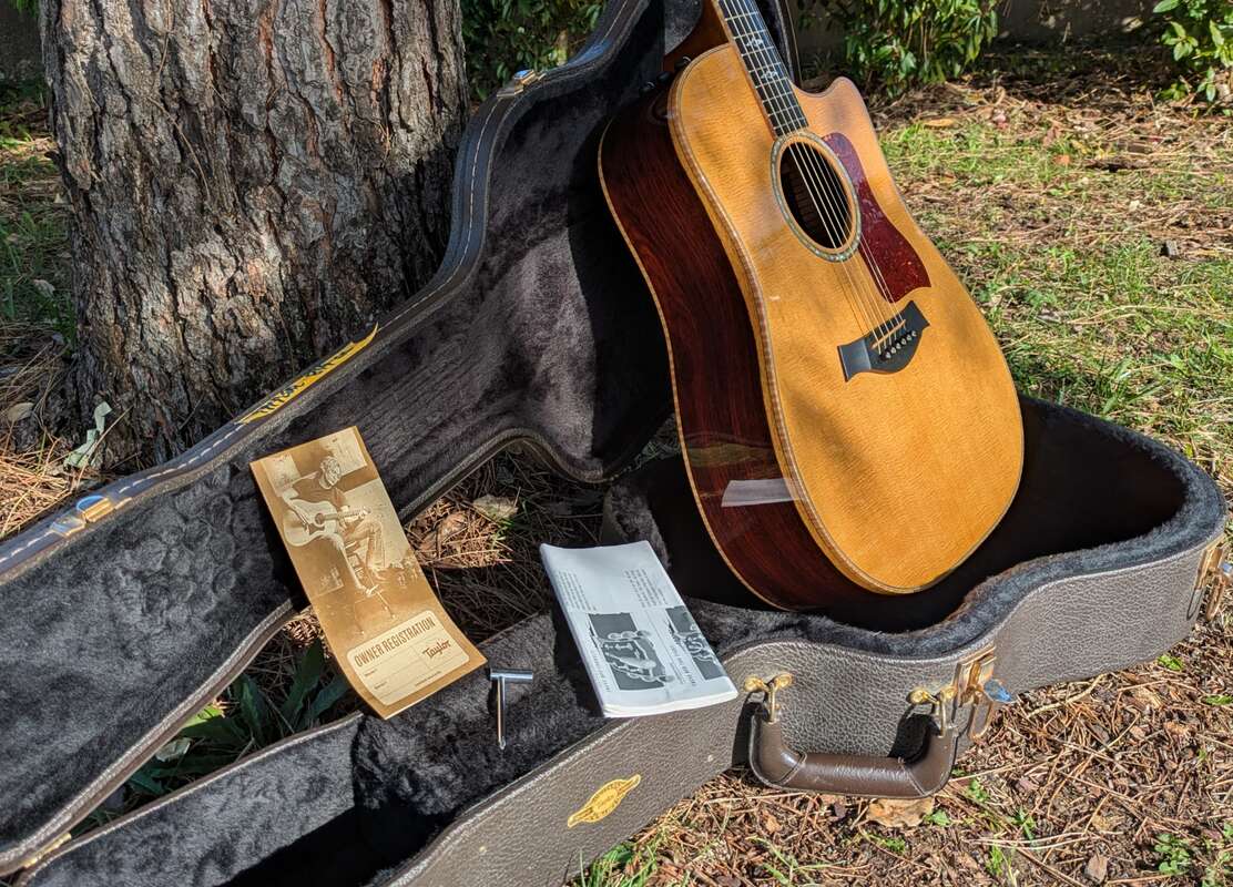 Taylor 810ce-l10 fall limited edition 2005