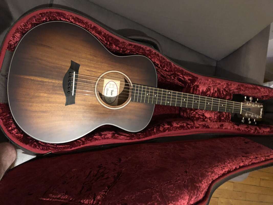 Taylor GS Mini E-Koa Plus