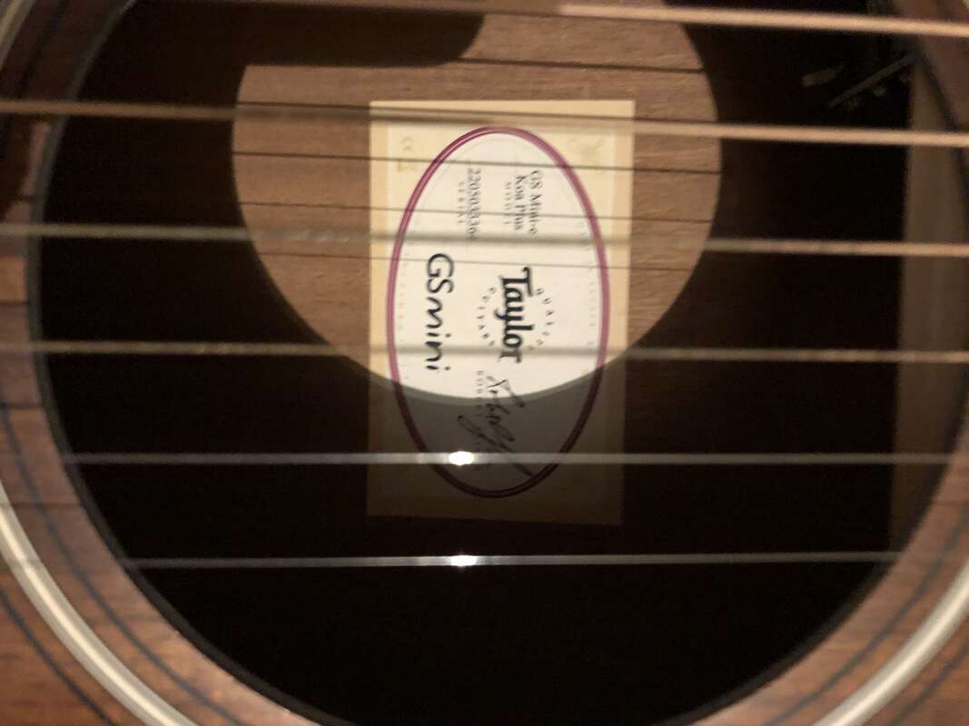 Taylor GS Mini E-Koa Plus